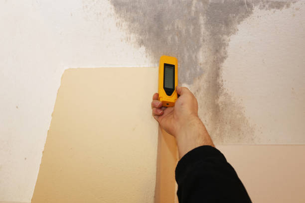 Best Asbestos and Lead Testing During Mold Inspection  in Pollock Pines, CA